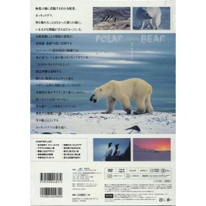 DVD ホッキョクグマ
